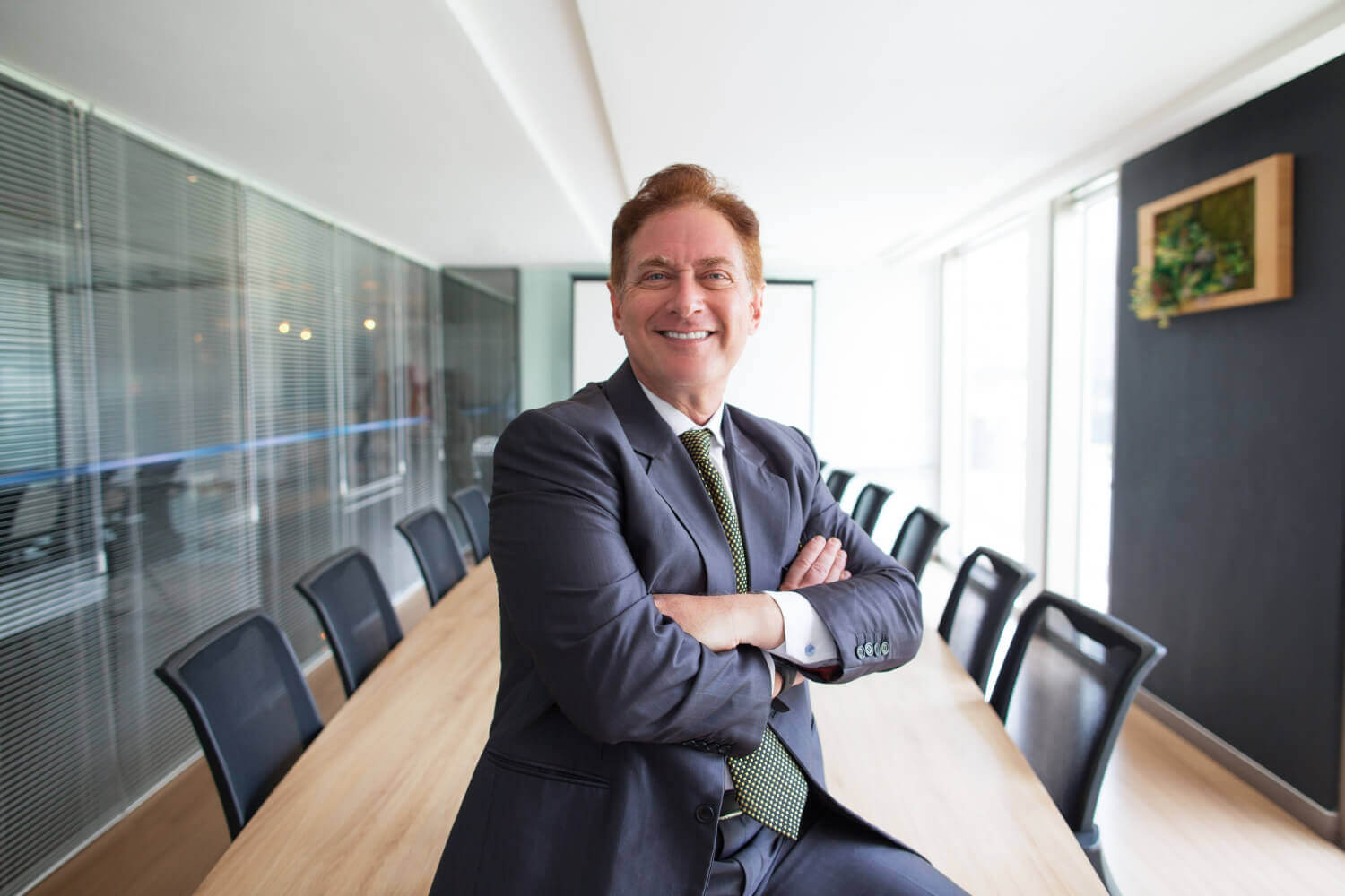 Middle aged business executive in conference room