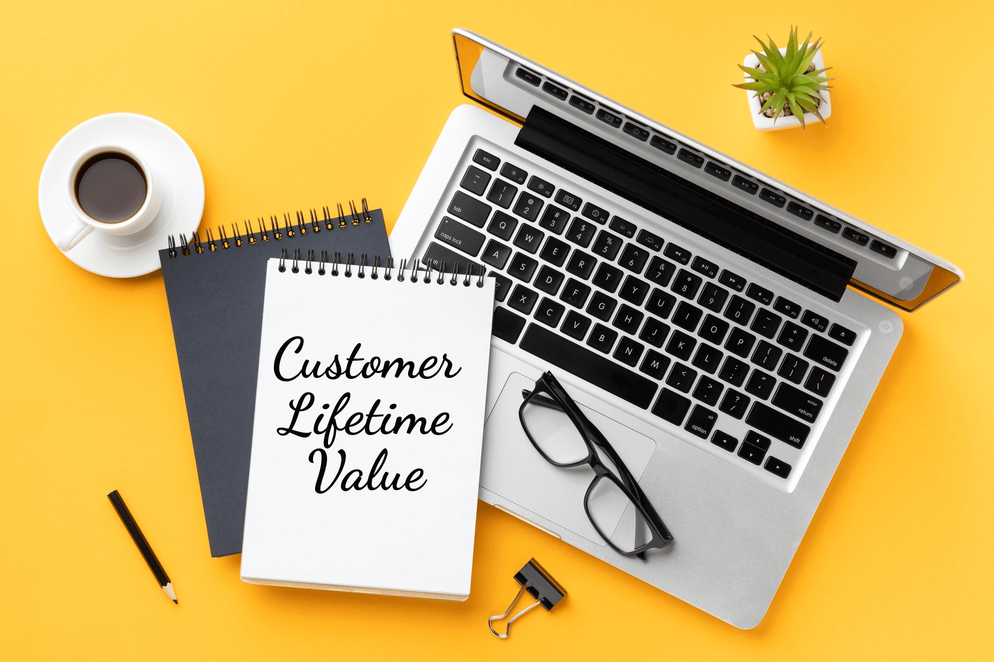 Customer lifetime value concept