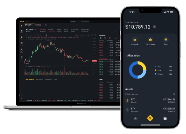 Screenshot of Binance dashboard mobile and PC views