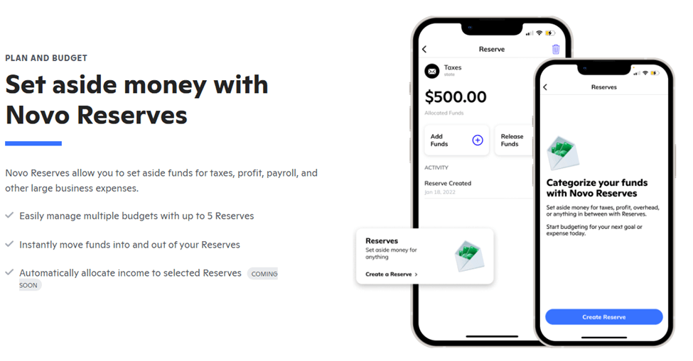 Screenshot of Novo Business Budgeting Features