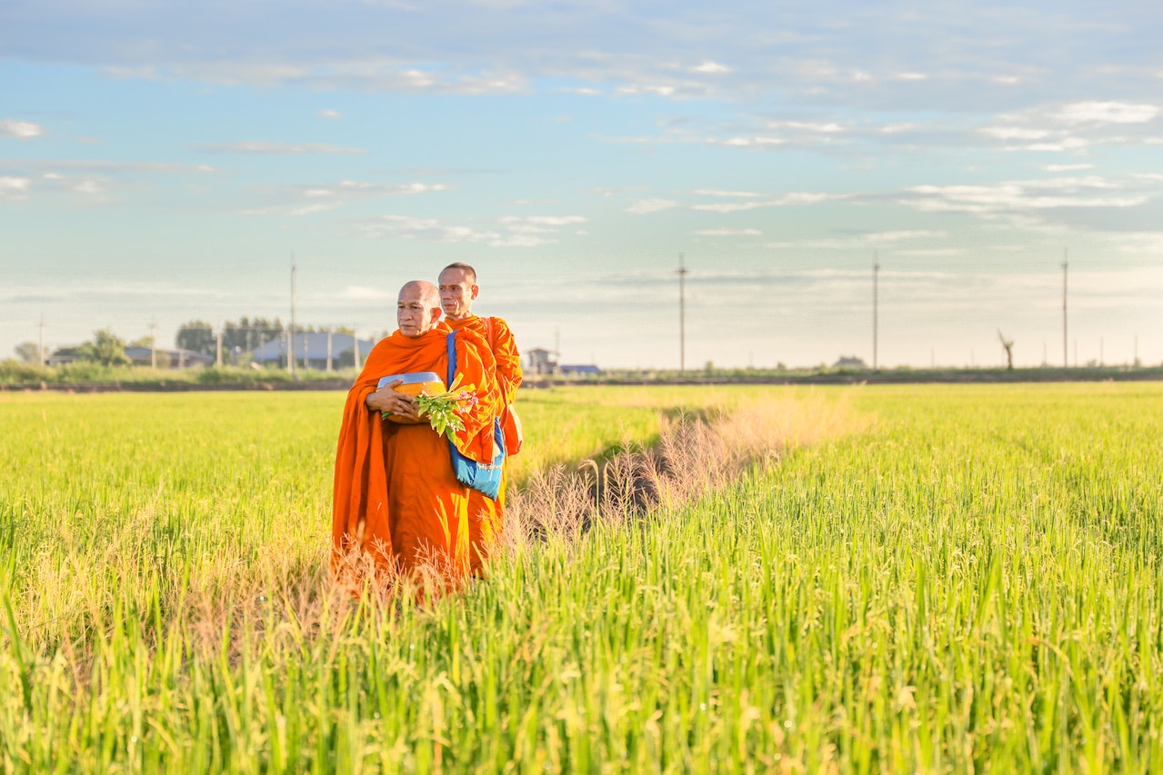 Buddhist 1st Noble Truth