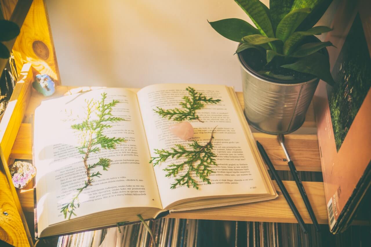 An open book on a table