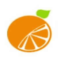 Citrus Loans logo