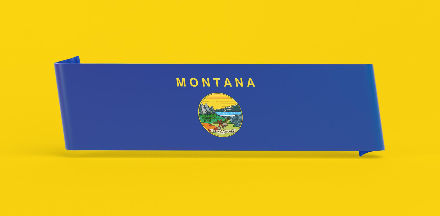 Montana state flag