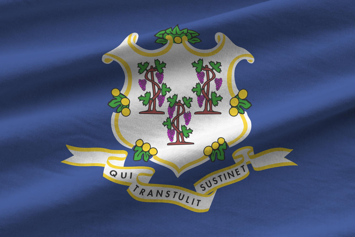 Connecticut state flag